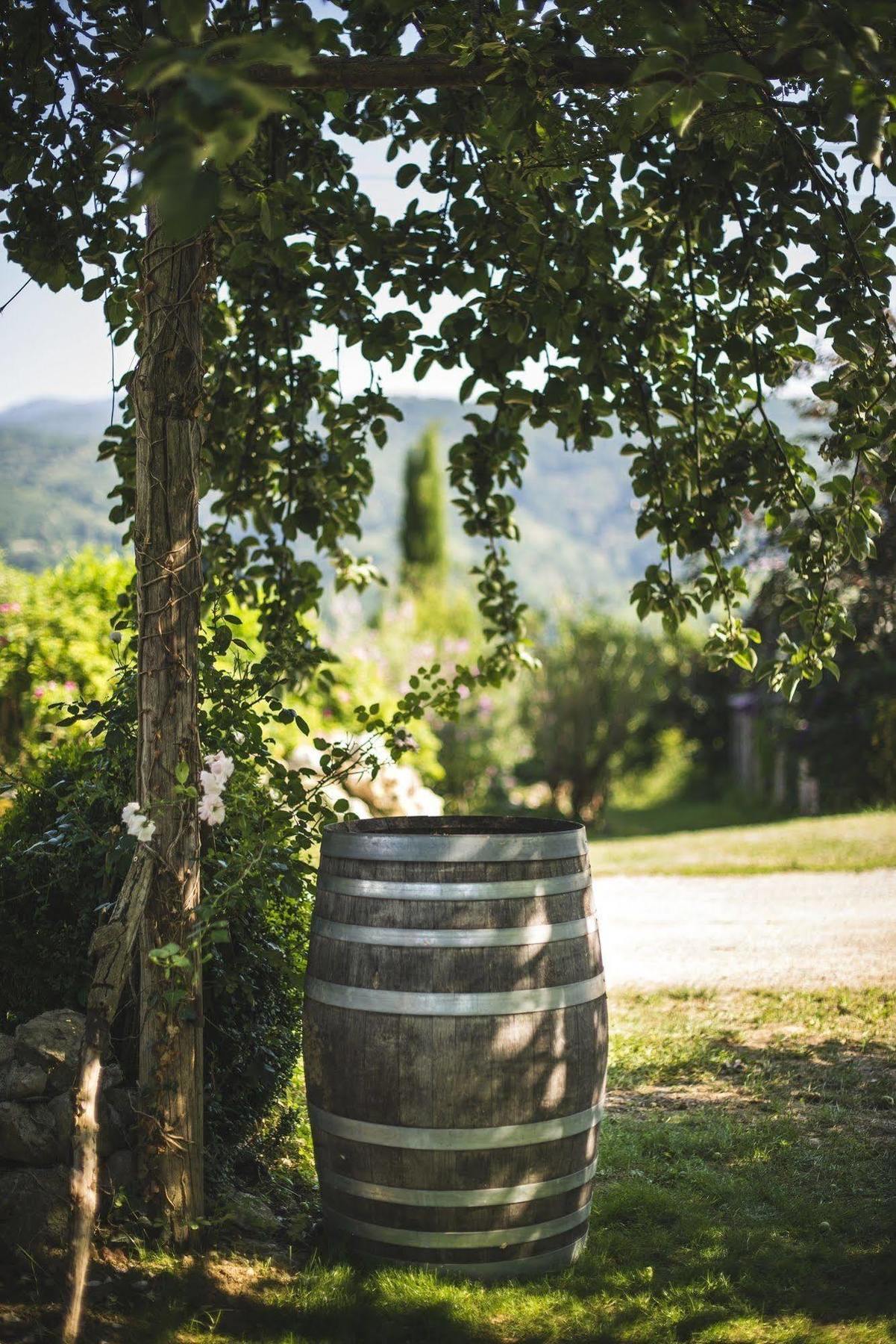 Domaine De Terrac Bed & Breakfast Rimont Exterior photo